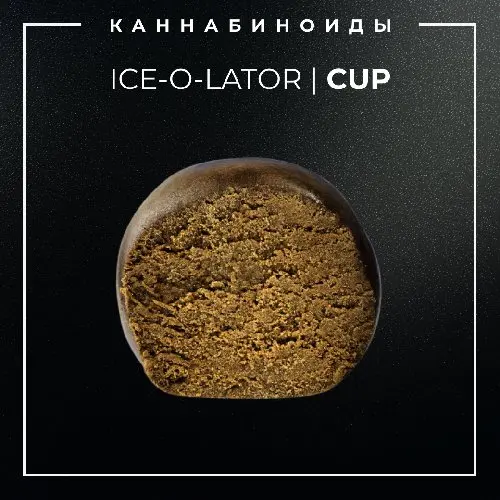 ▪️ICE-O-LATOR I CUP▪️ 